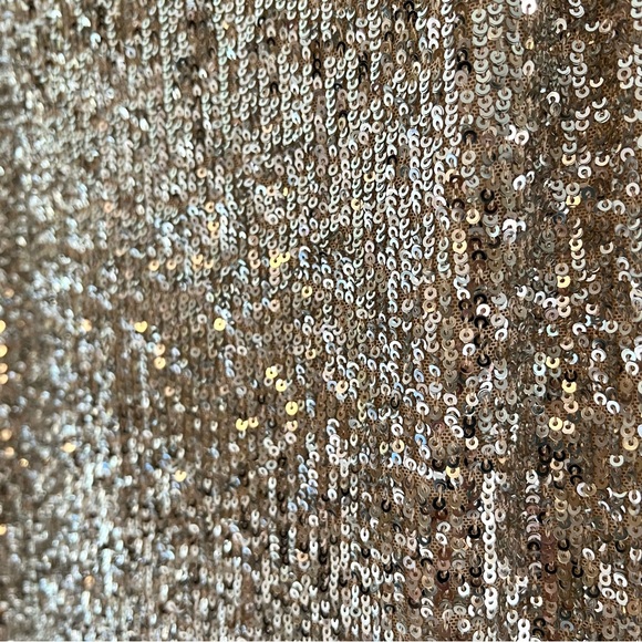 NWT Anthropologie Sachin & Babi Colorblocked Sequined Midi Dress - Picture 7 of 16